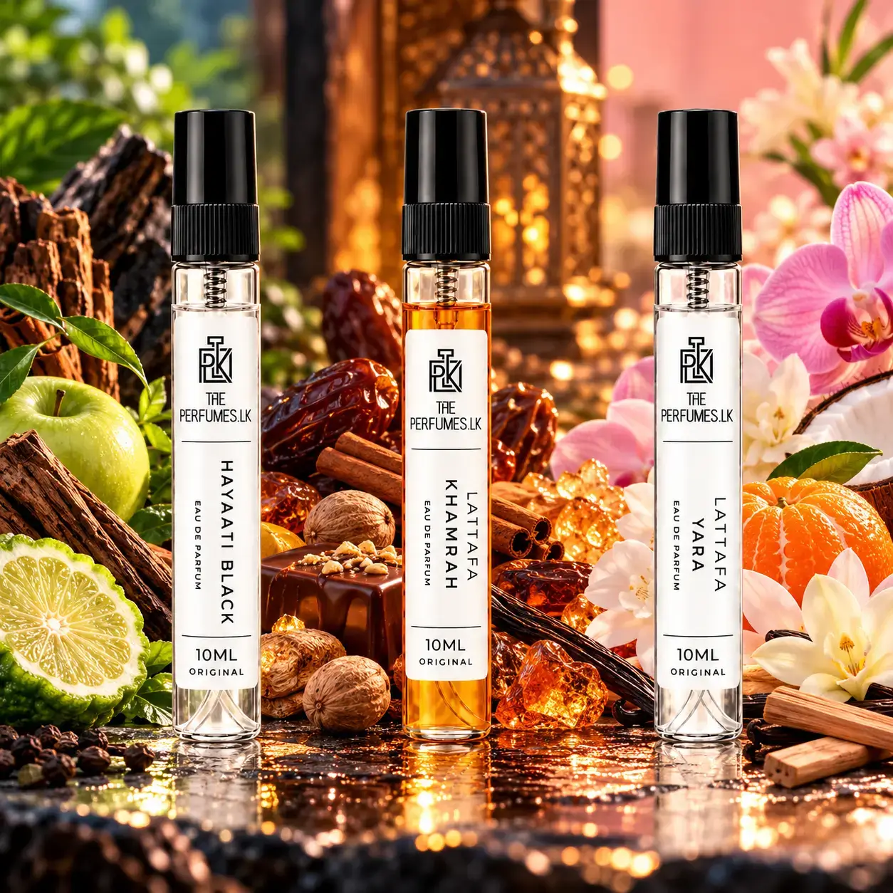 Discovery Decant Trio - Women - View 2